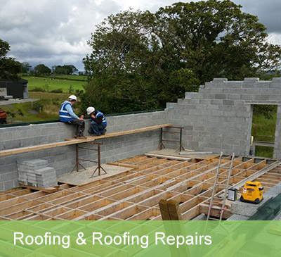  Roofing repairs | Denis Fahey construction